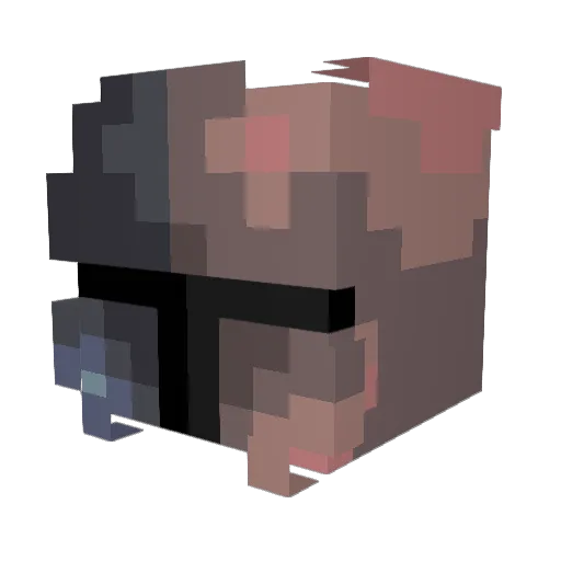 BackToTheBhops Minecraft avatar head, 3D render