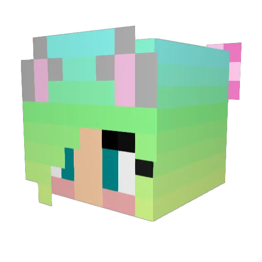 Backattack217 Minecraft avatar head, 3D render