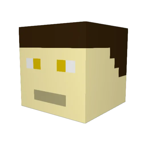 Backflashed1024 Minecraft avatar head, 3D render