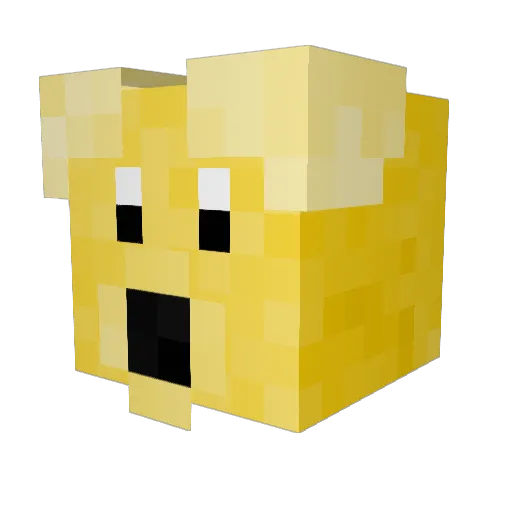 Backkom0 Minecraft avatar head, 3D render