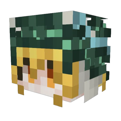 Backrolls1 Minecraft avatar head, 3D render