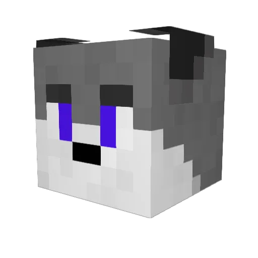 Backspace63 Minecraft avatar head, 3D render