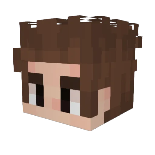 Backsu4 Minecraft avatar head, 3D render