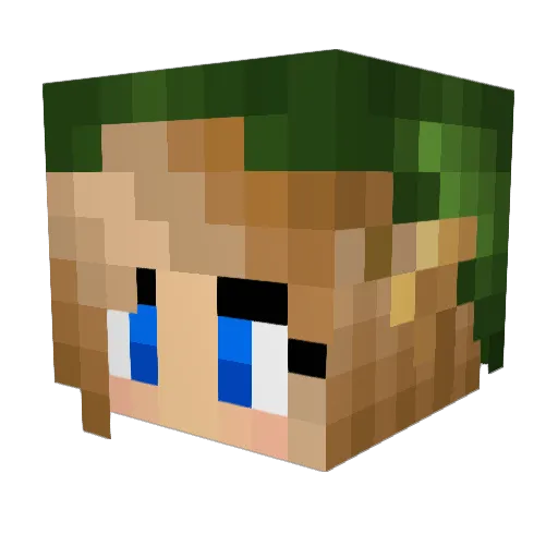 Backtul Minecraft avatar head, 3D render