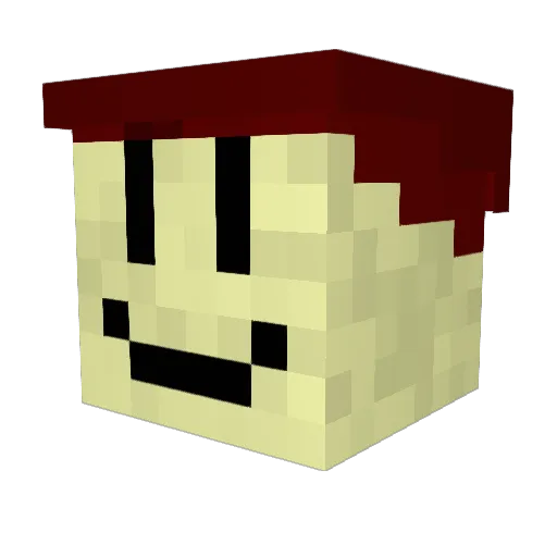 BackwardBonobo Minecraft avatar head, 3D render
