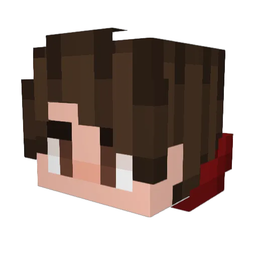 Backwards_Logic Minecraft avatar head, 3D render