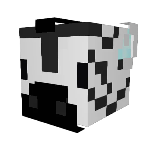 Backwardslasher Minecraft avatar head, 3D render