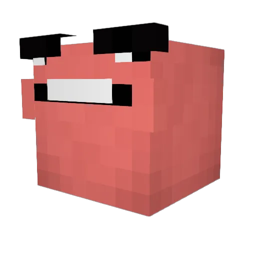 Backwaree Minecraft avatar head, 3D render