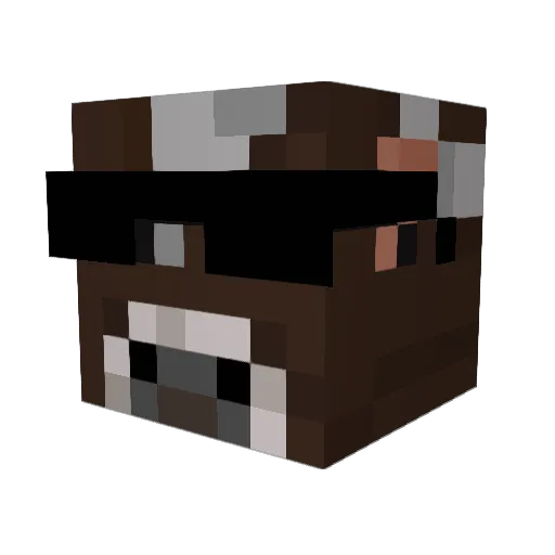 Backyardfriend Minecraft avatar head, 3D render