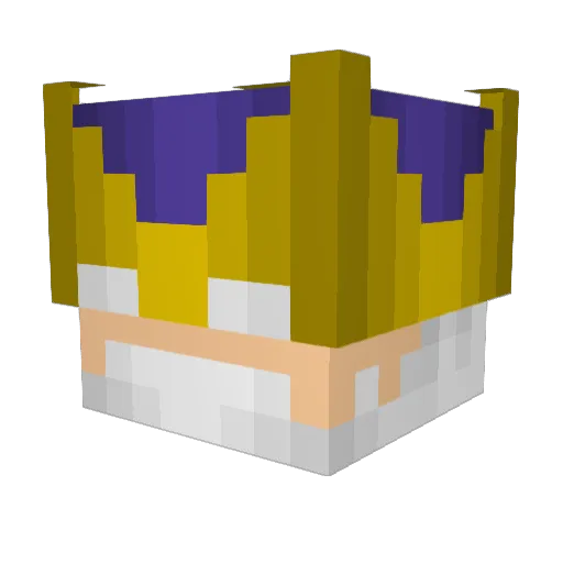 Bacn8r1 Minecraft avatar head, 3D render