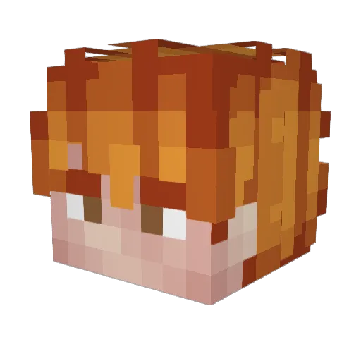 Bacnluva Minecraft avatar head, 3D render