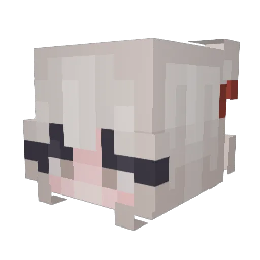 BacoExuBirilo Minecraft avatar head, 3D render