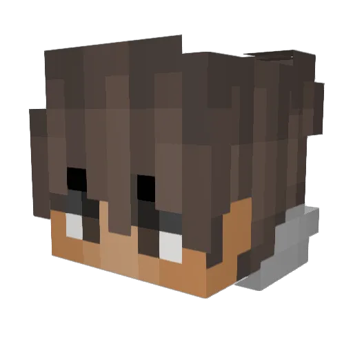 BacoJaco Minecraft avatar head, 3D render