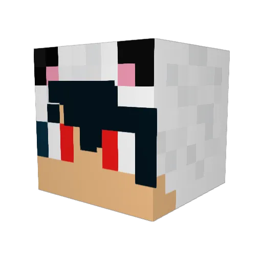 Bacon037 Minecraft avatar head, 3D render