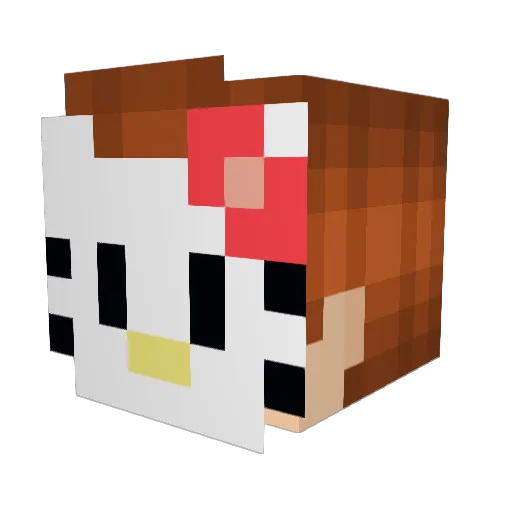 Bacon85 Minecraft avatar head, 3D render