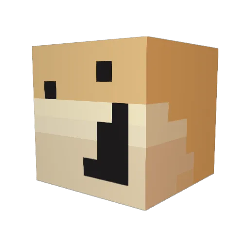 Bacon9990 Minecraft avatar head, 3D render