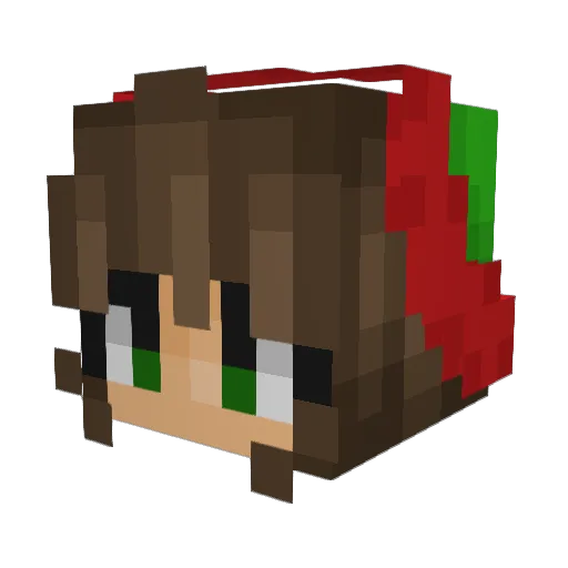 BaconAndEggs703 Minecraft avatar head, 3D render