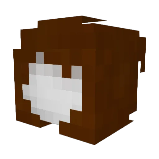 BaconBall37 Minecraft avatar head, 3D render