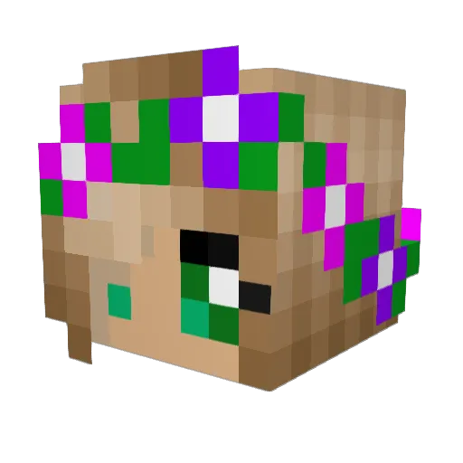 BaconBrain4321 Minecraft avatar head, 3D render