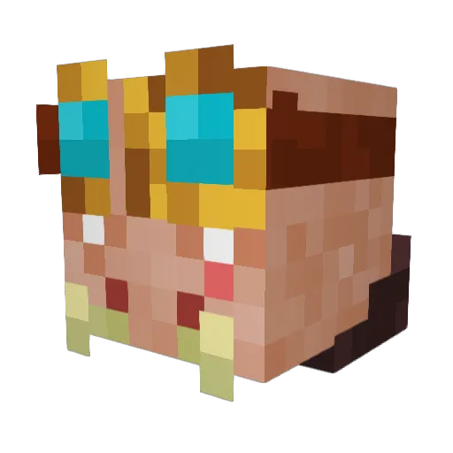BaconExtreme Minecraft avatar head, 3D render