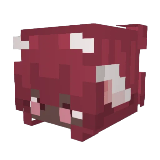 BaconIsHere Minecraft avatar head, 3D render