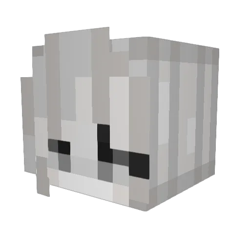 BaconIsLyfe Minecraft avatar head, 3D render