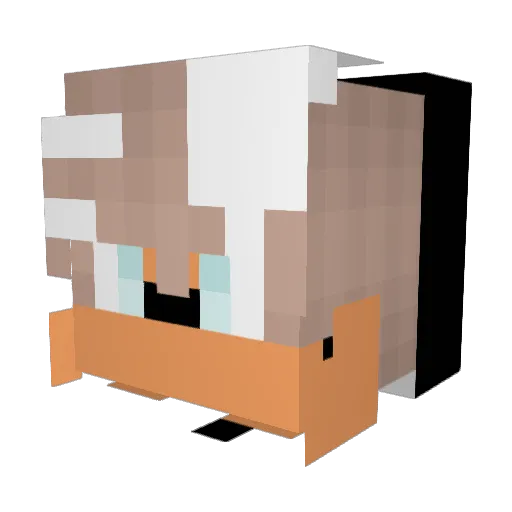 BaconIsMaiLife Minecraft avatar head, 3D render