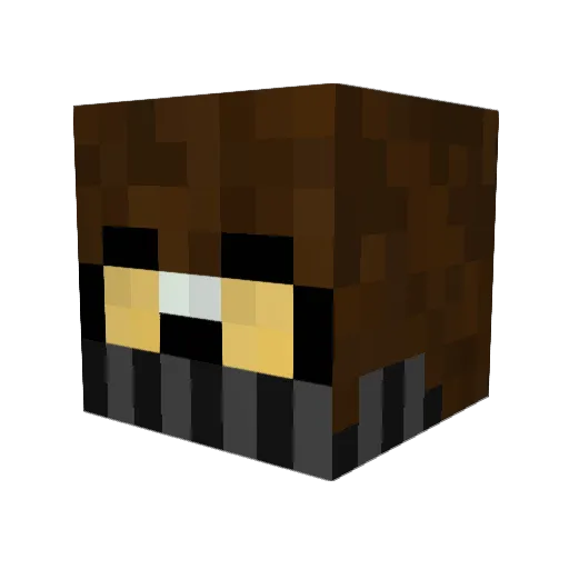 BaconKing101 Minecraft avatar head, 3D render