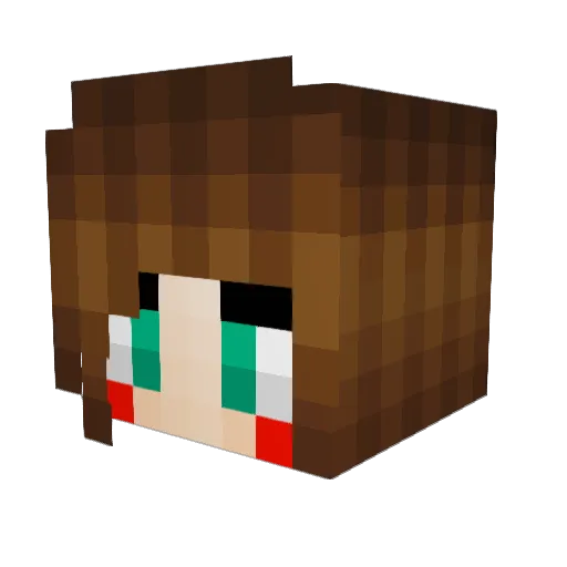 BaconLvr18 Minecraft avatar head, 3D render
