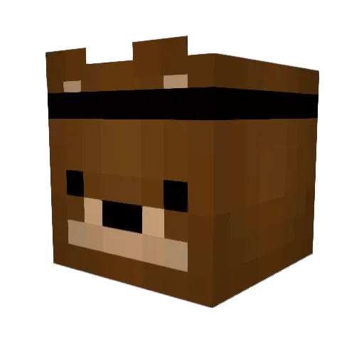 BaconMan629 Minecraft avatar head, 3D render