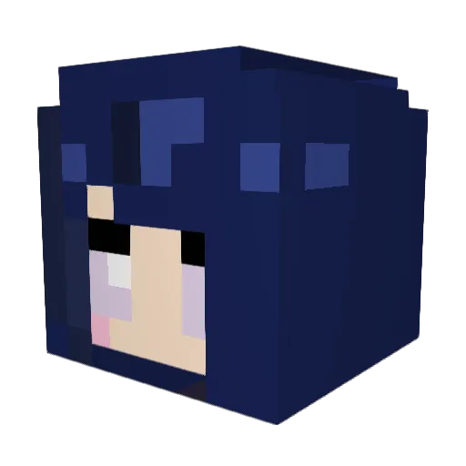 BaconMessiah Minecraft avatar head, 3D render