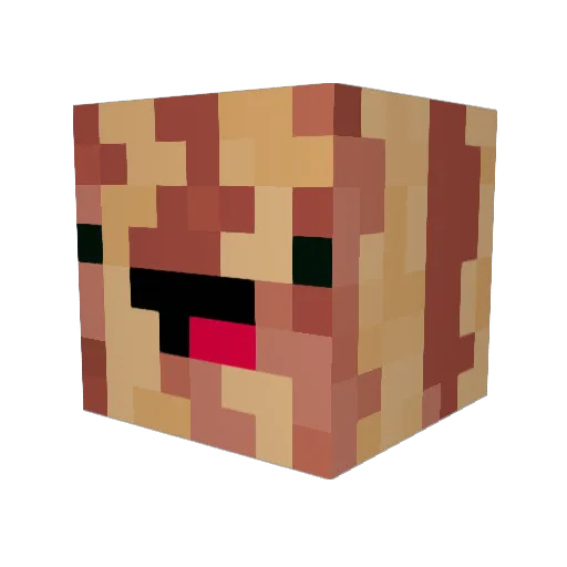 BaconMiner69 Minecraft avatar head, 3D render