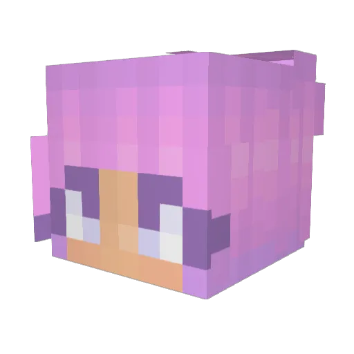 BaconToes Minecraft avatar head, 3D render