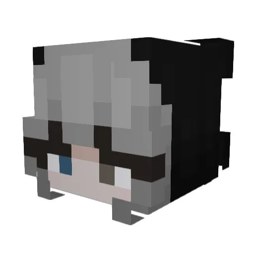 BaconWafflez Minecraft avatar head, 3D render