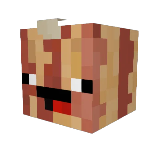BaconWarrior17 Minecraft avatar head, 3D render