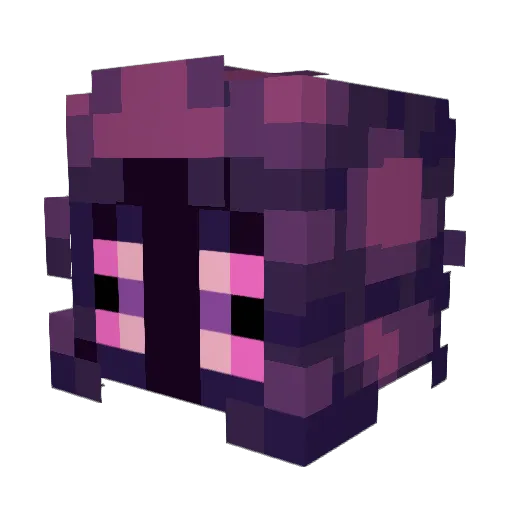 Bacon_Experience Minecraft avatar head, 3D render