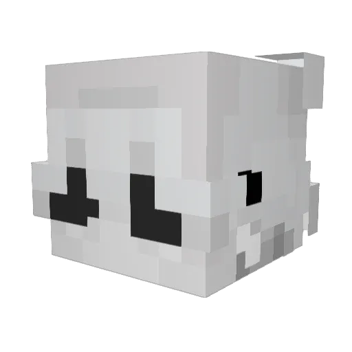 Bacon_Pro123 Minecraft avatar head, 3D render