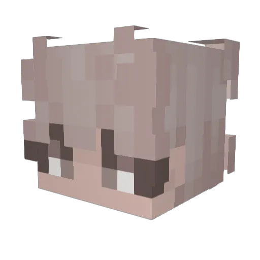Bacon_ars Minecraft avatar head, 3D render