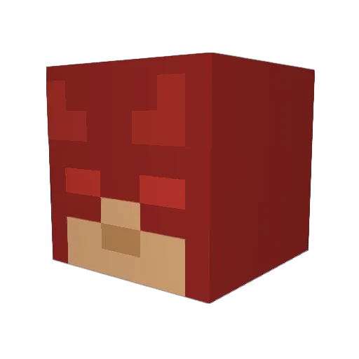 Baconator678 Minecraft avatar head, 3D render
