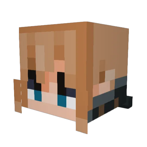 BaconatorPot Minecraft avatar head, 3D render