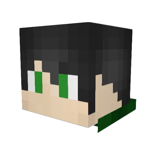 Baconator_1902 Minecraft avatar head, 3D render