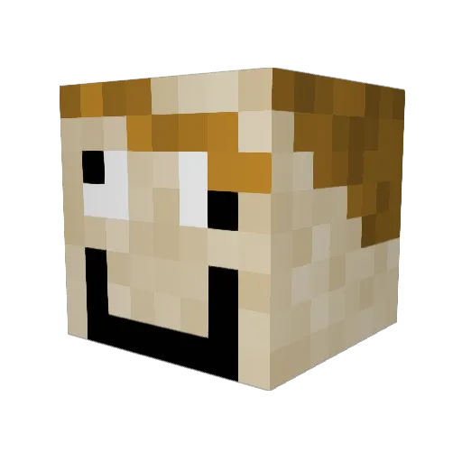 Baconburg Minecraft avatar head, 3D render