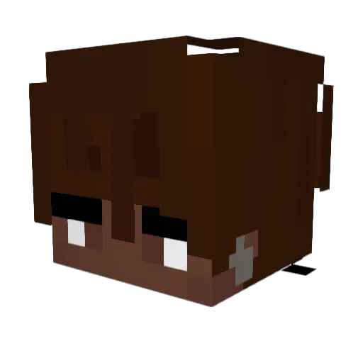 Bacongator789 Minecraft avatar head, 3D render