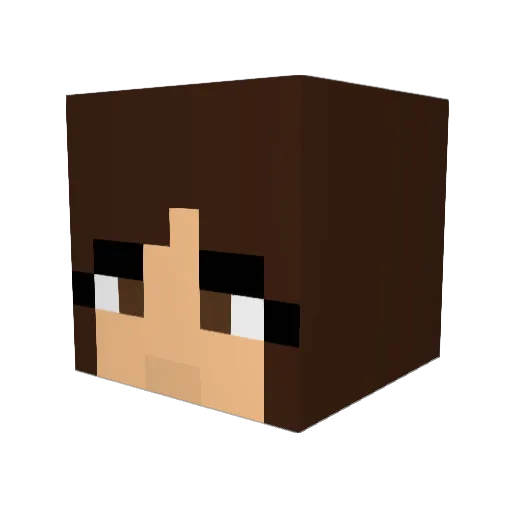 Bacongirl100 Minecraft avatar head, 3D render
