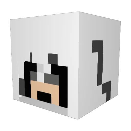 Bacongod9988 Minecraft avatar head, 3D render