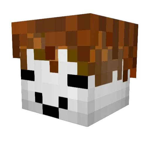 Baconhoir Minecraft avatar head, 3D render