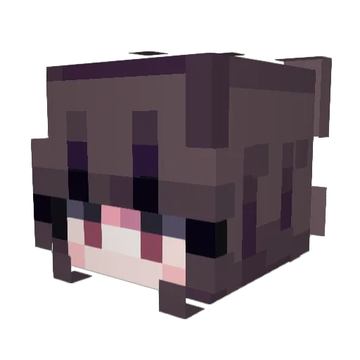 Baconisdad Minecraft avatar head, 3D render