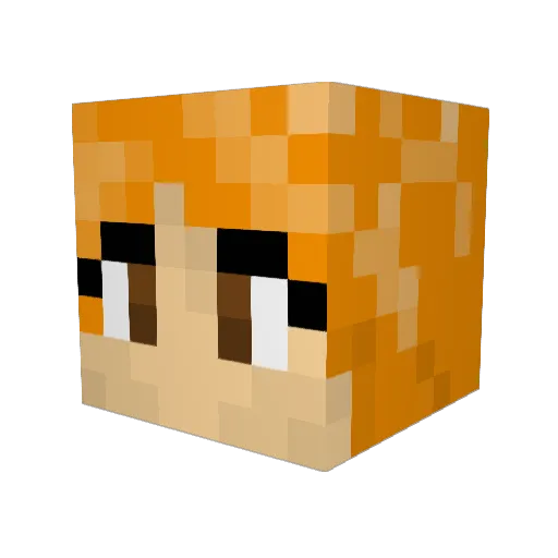 Baconlord100 Minecraft avatar head, 3D render