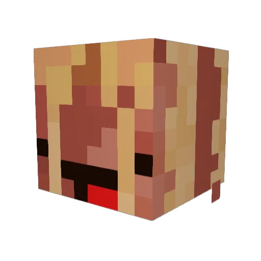 Baconmanprime Minecraft avatar head, 3D render