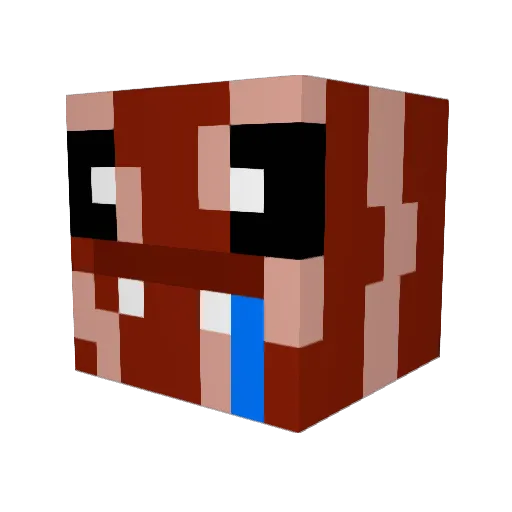 Baconslife Minecraft avatar head, 3D render